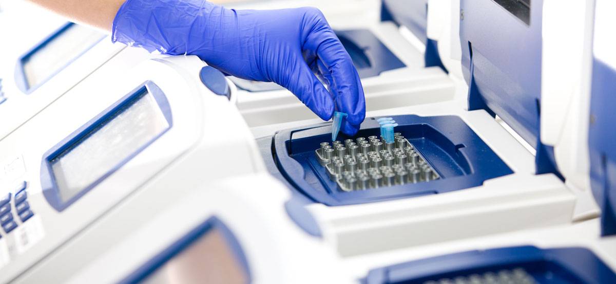 PCR Test in einem Labor mit einem Thermocycler